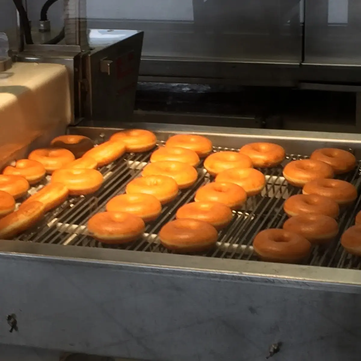Glazed Donut