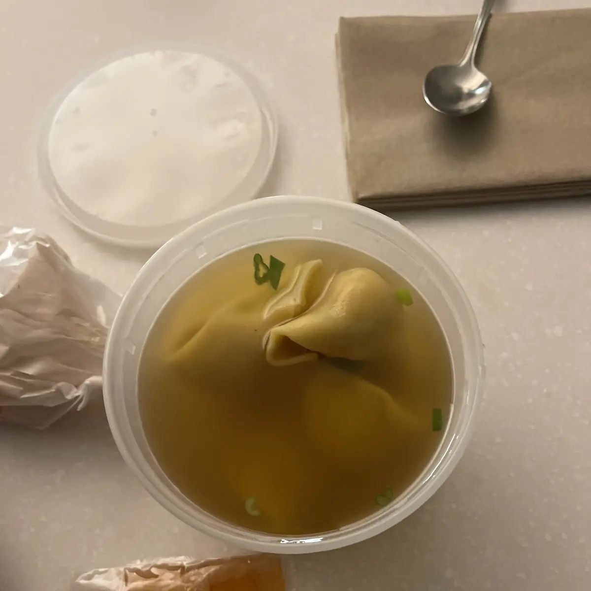 Wonton Soup