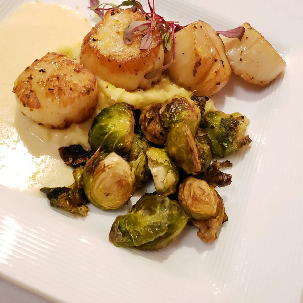 Sautéed Sea Scallops