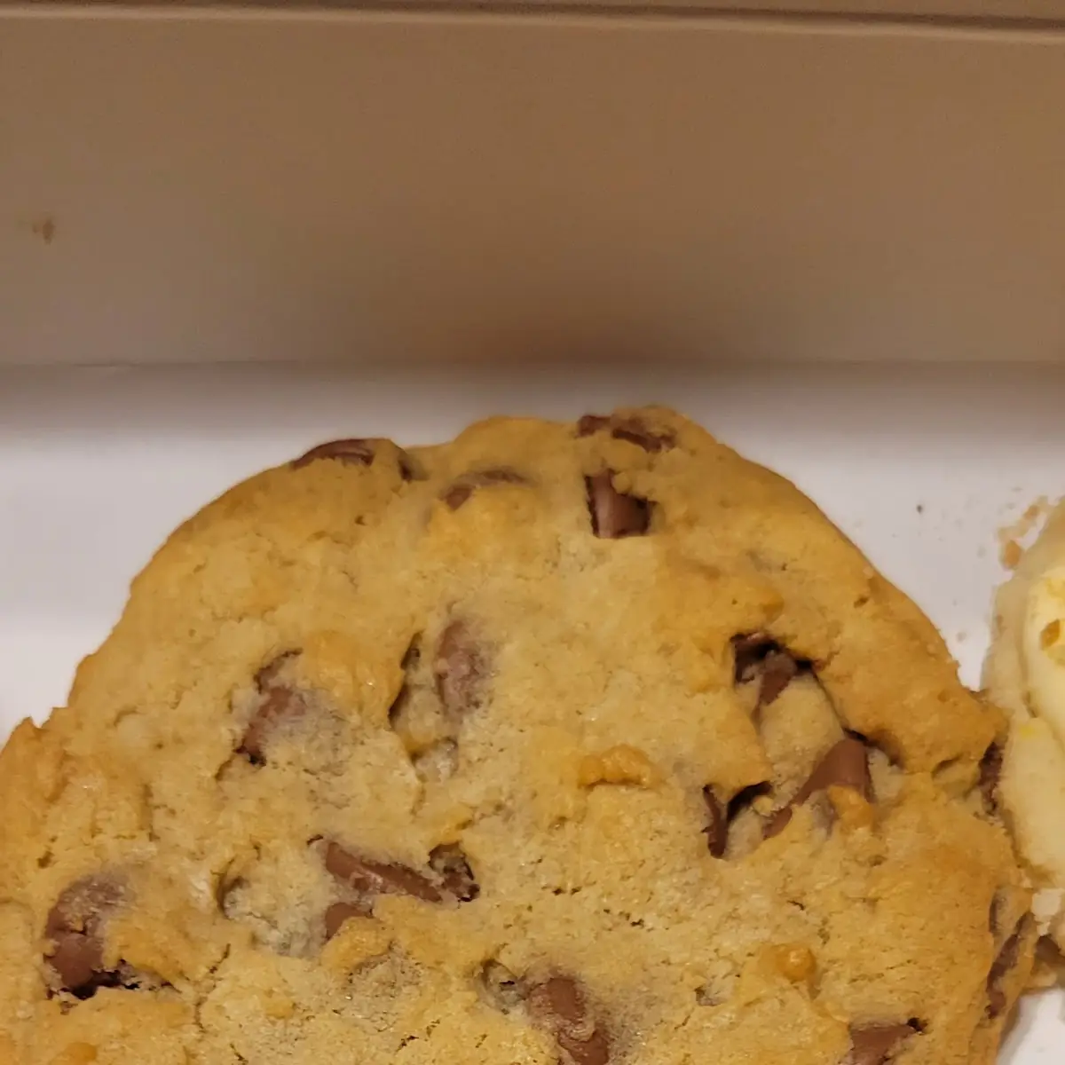 Chocolate Chip Cookie