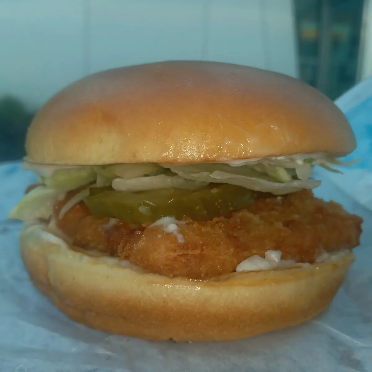 Big Fish Sandwich Combo
