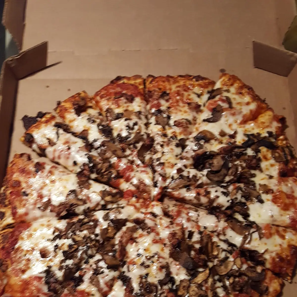 Large Sausage & Mushroom Pizza
