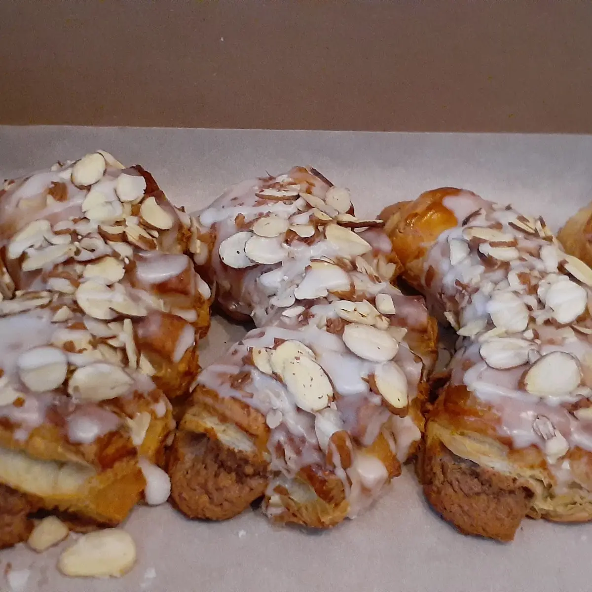 Bear Claw