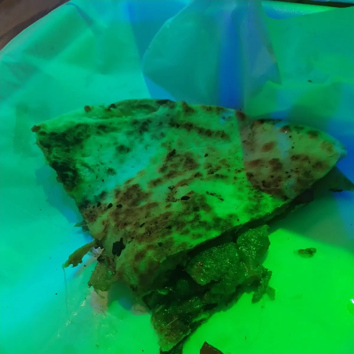 Philly Cheese Steak Quesadilla