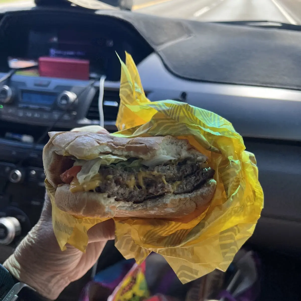 Double Cheeseburger with Fries