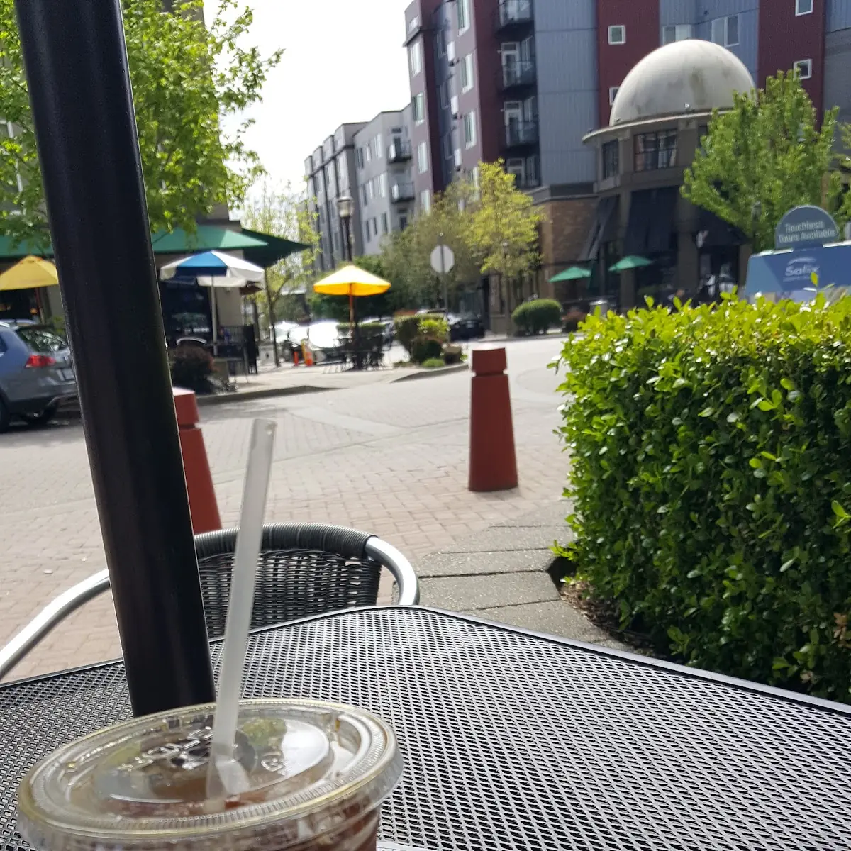 Cold Brew