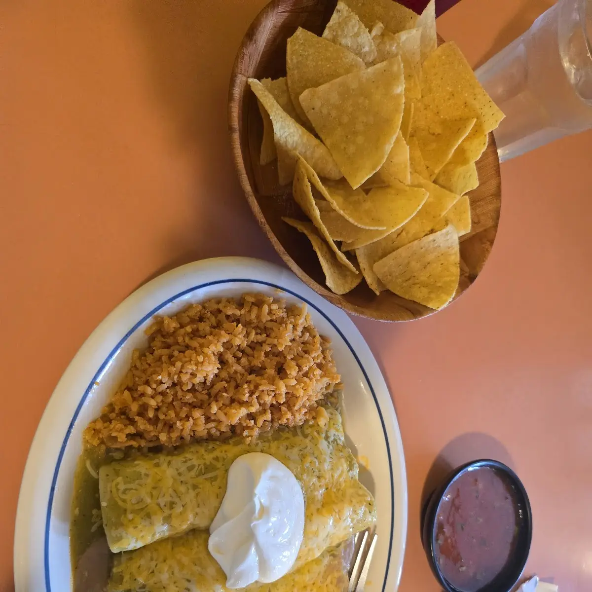 Chicken Enchiladas with Sour Cream