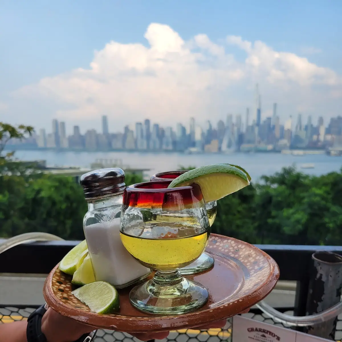 Don Julio Reposado Shots