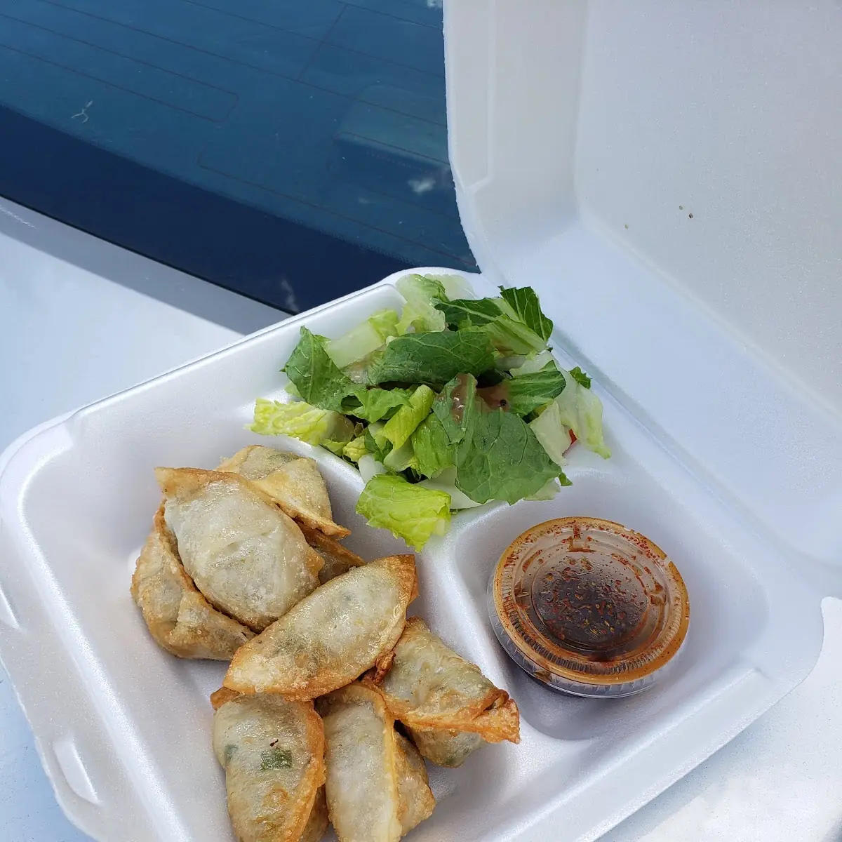 Fried Dumplings