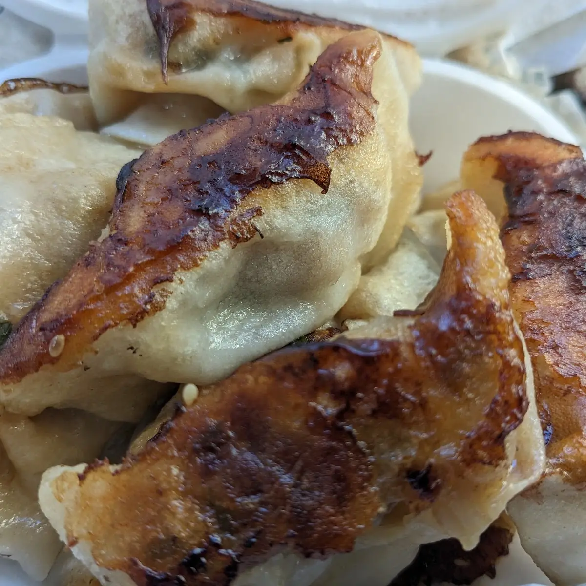 Pork and Chive Fried Dumplings