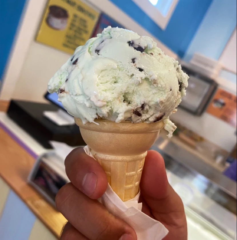 Mint Chocolate Chip Ice Cream in a Cone