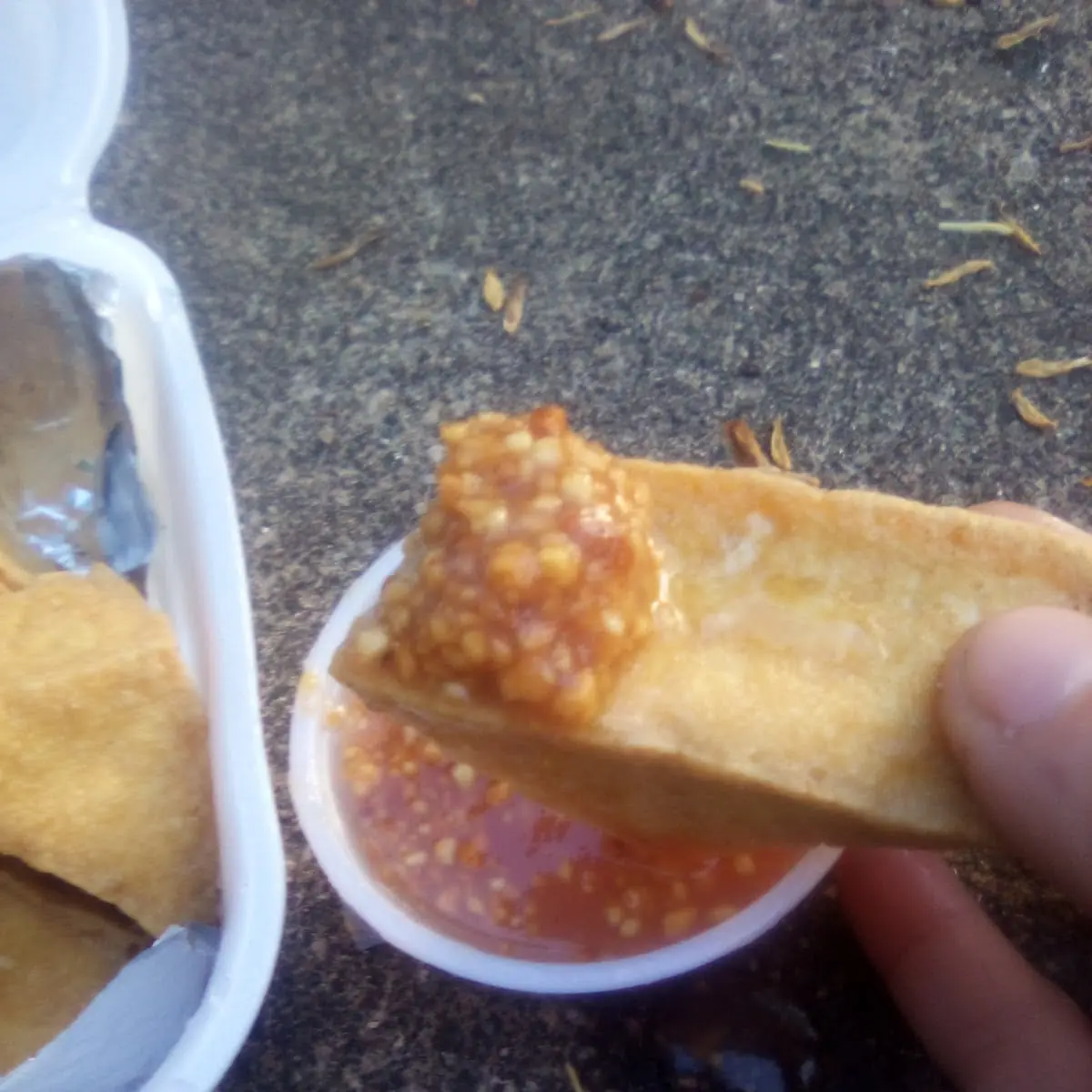 Fried Tofu