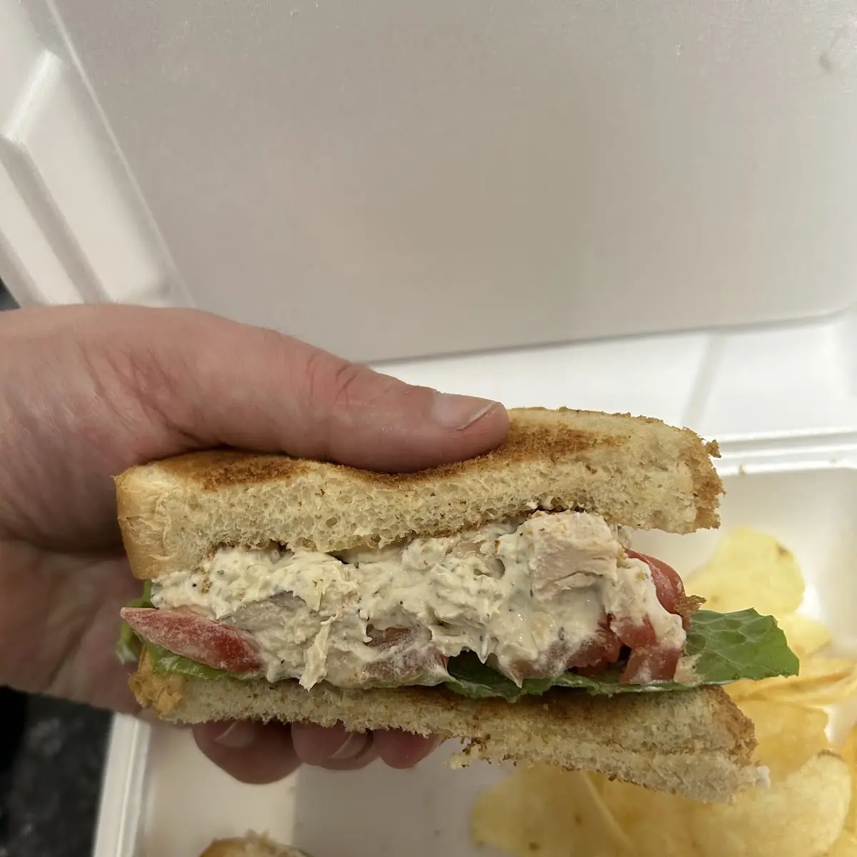 Chicken or Tuna Salad