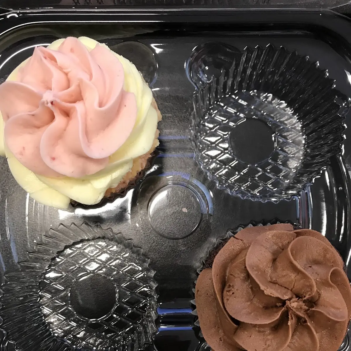 Single Container Cupcake not Included