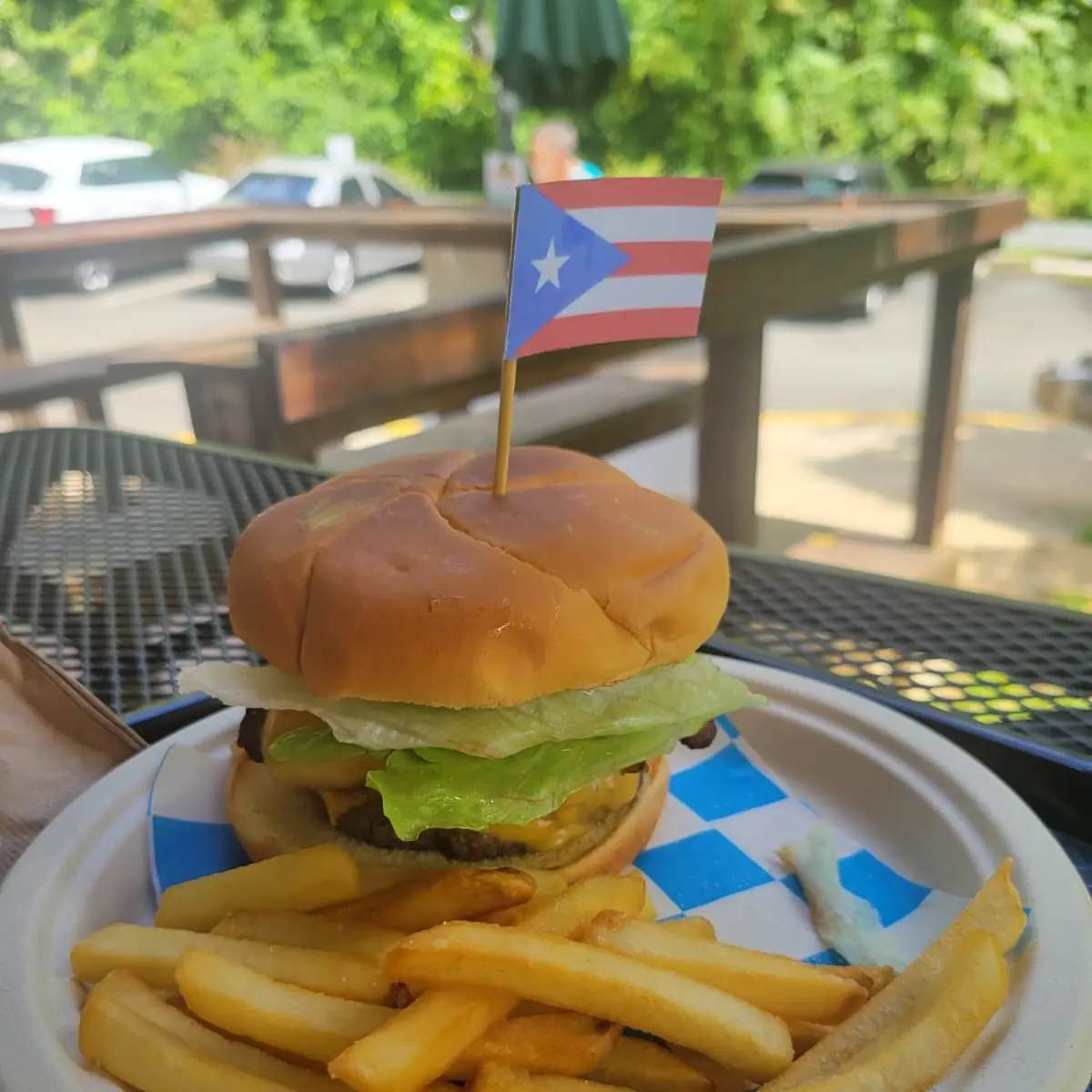 Veggie Burger with Fries
