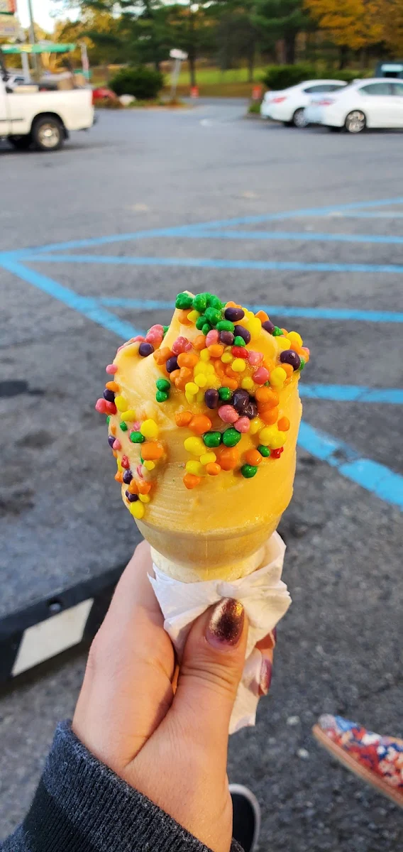 Dairy Free Soft Serve with Nerds