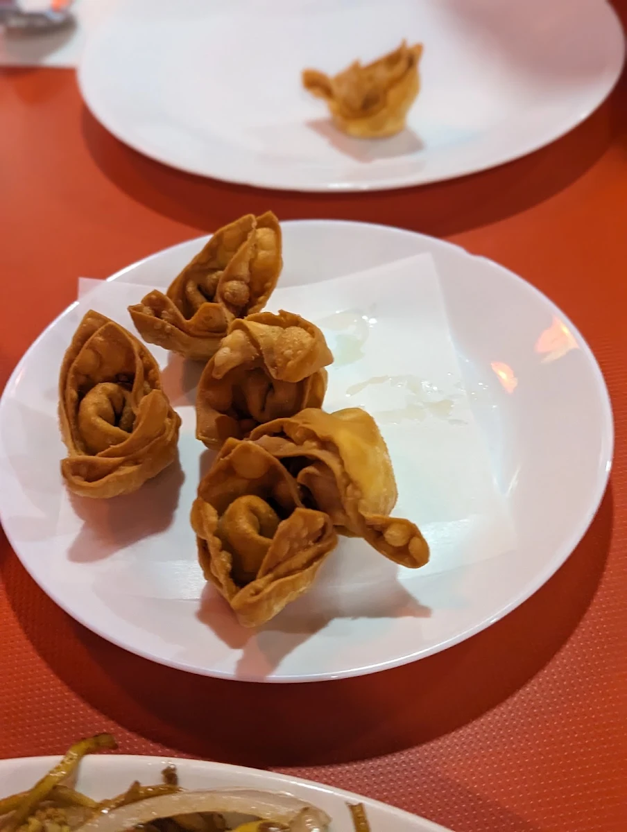 Deep Fried Wontons