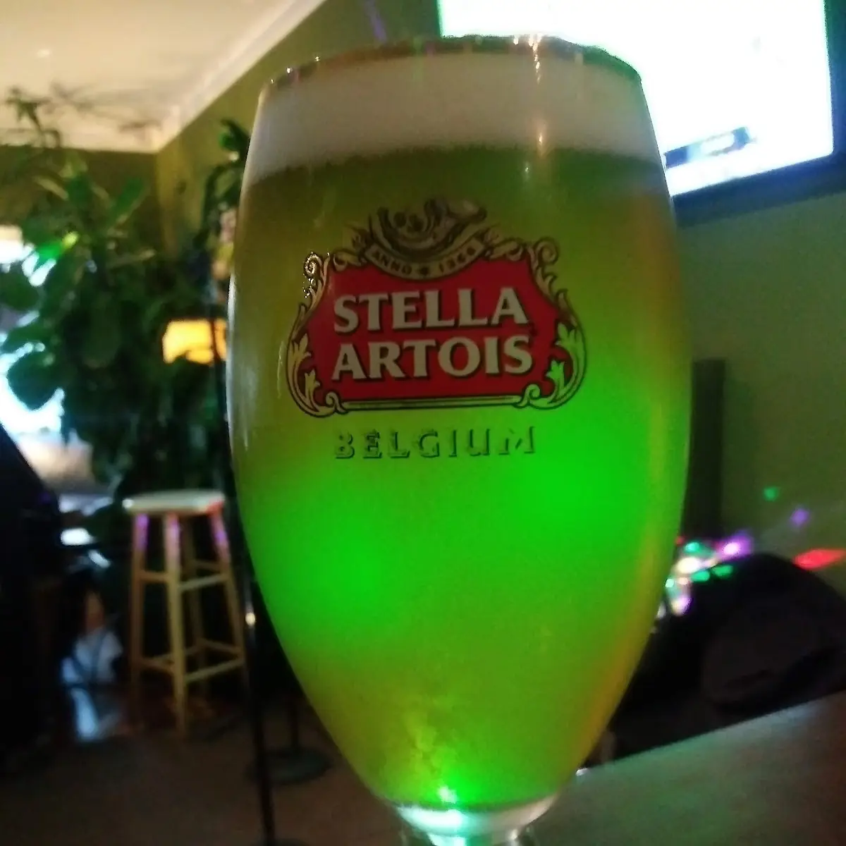 Elysian IPA Ale