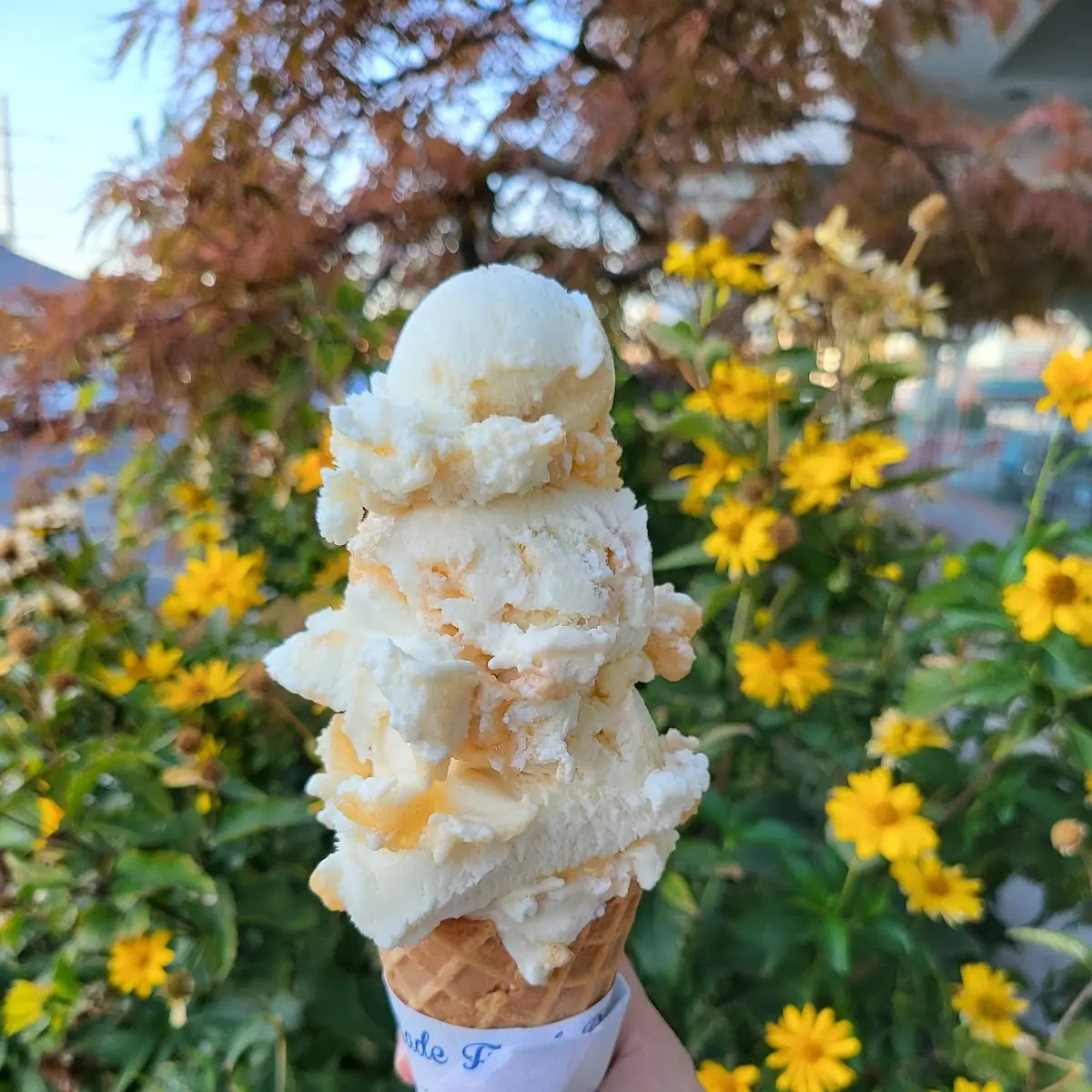 Apple Pie Ice Cream