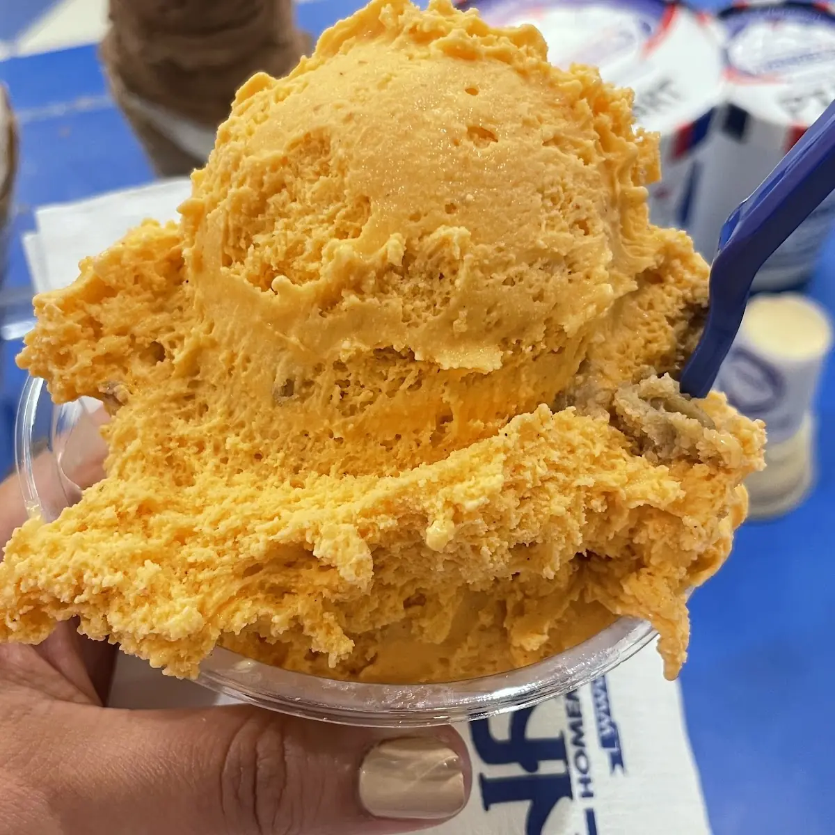 Pumpkin Pie