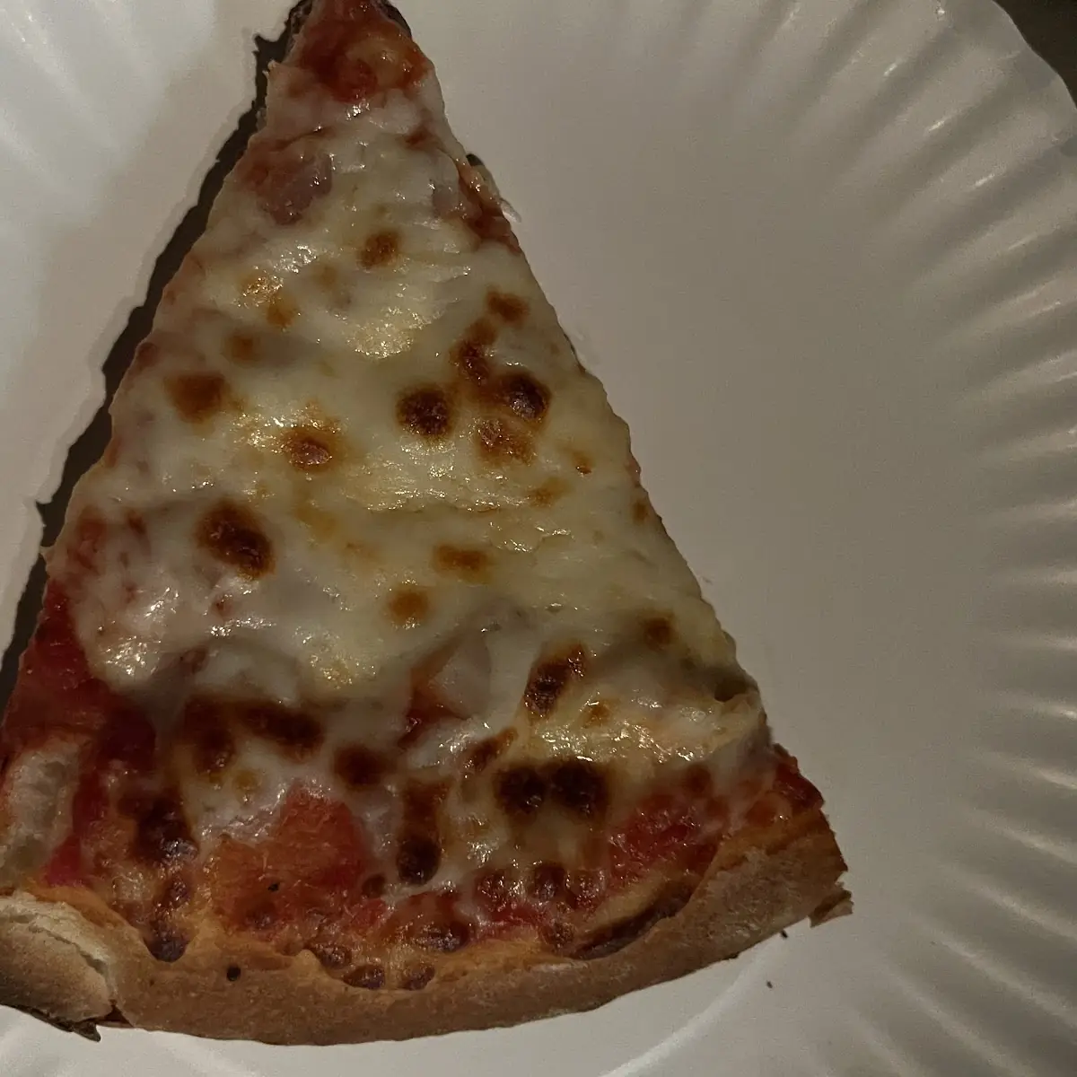 Onion Pizza