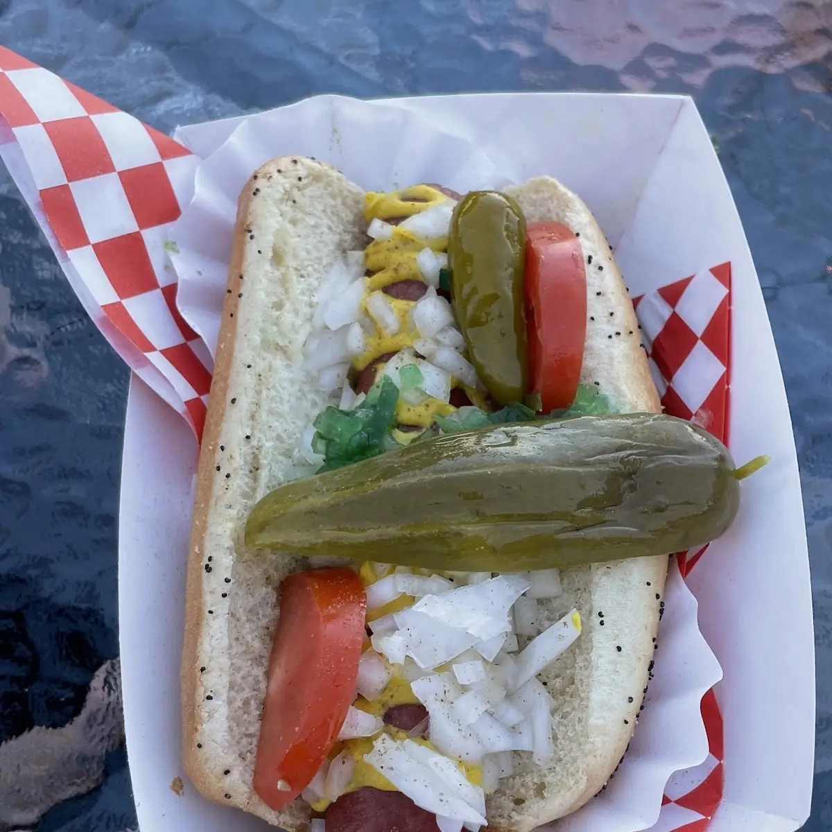 Chicago Dog