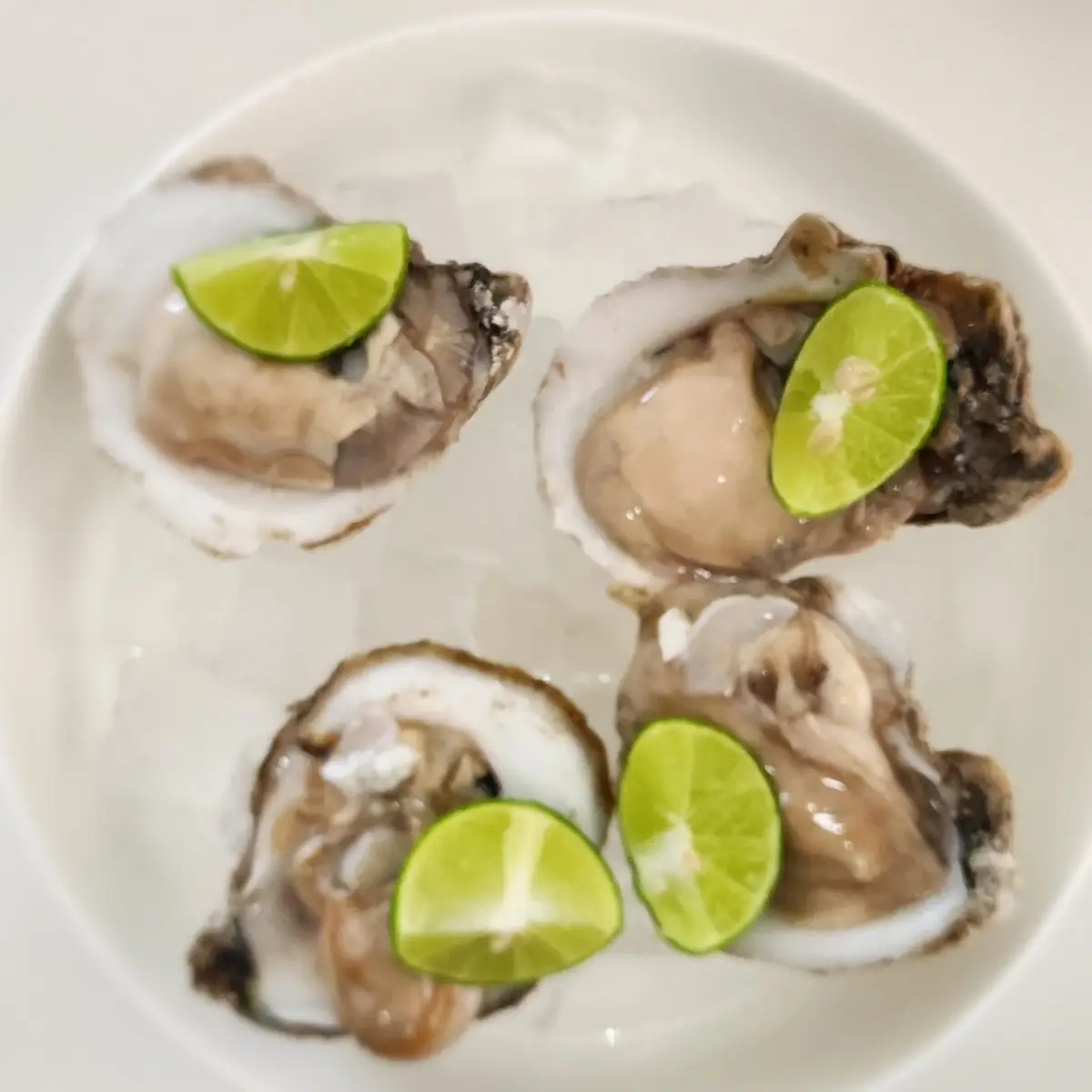 Oysters on the Half Shell