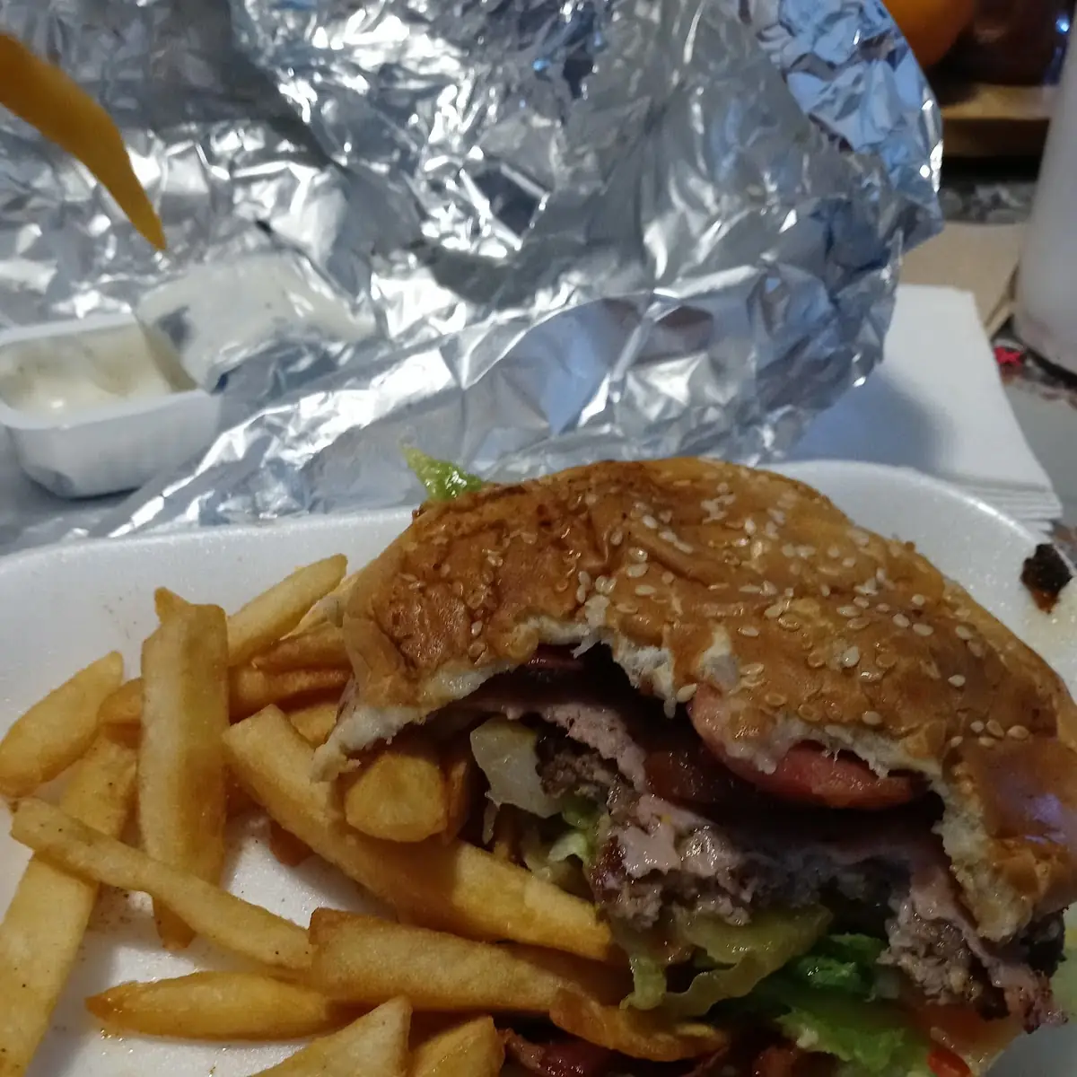 Texas Burger and Fries