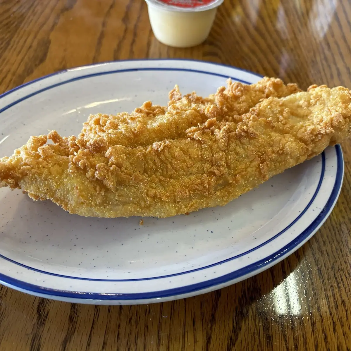 Catfish Fillet