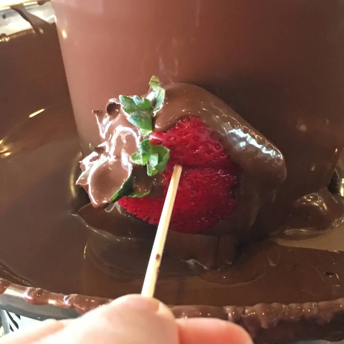 Fondue