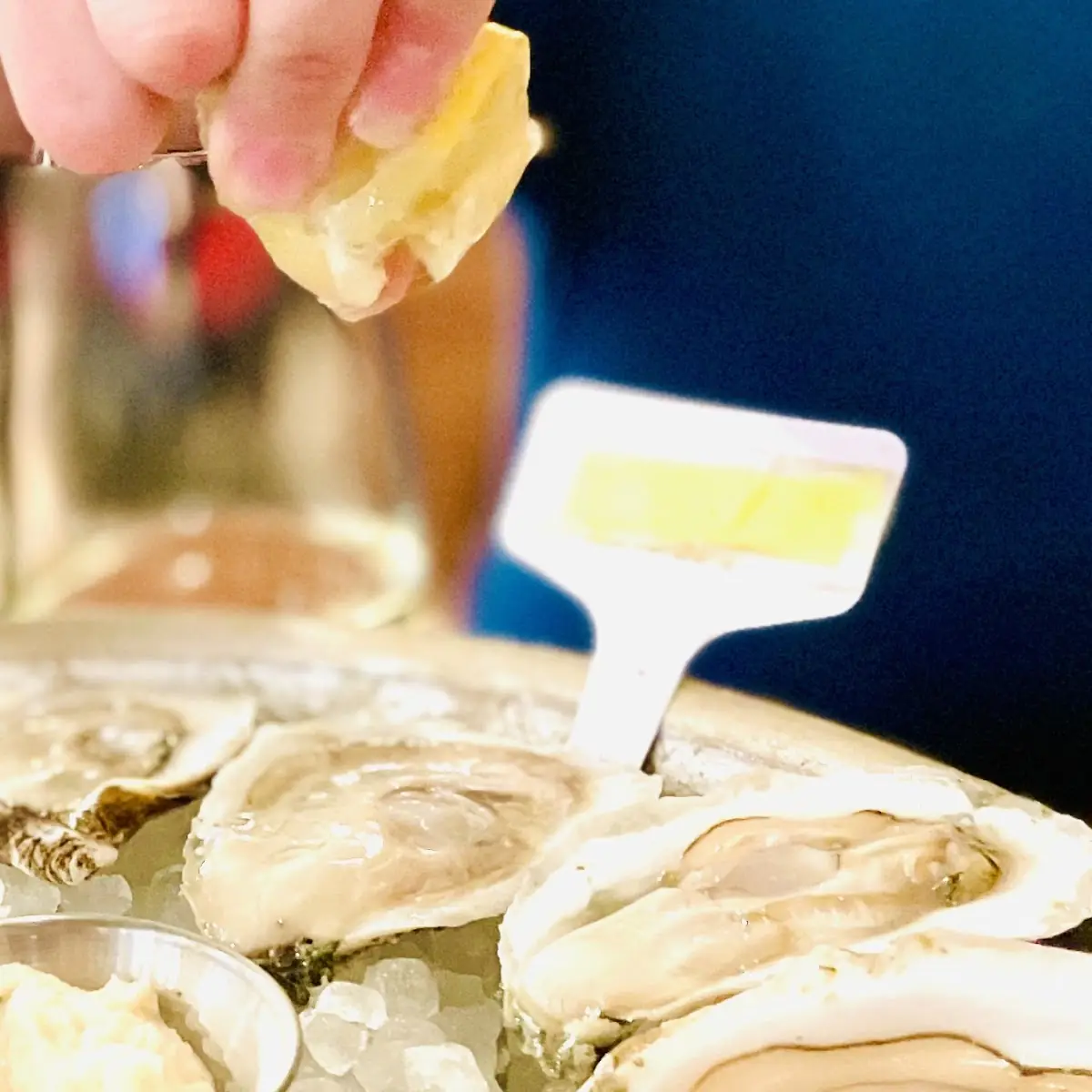 East Coast Oyster Sampler