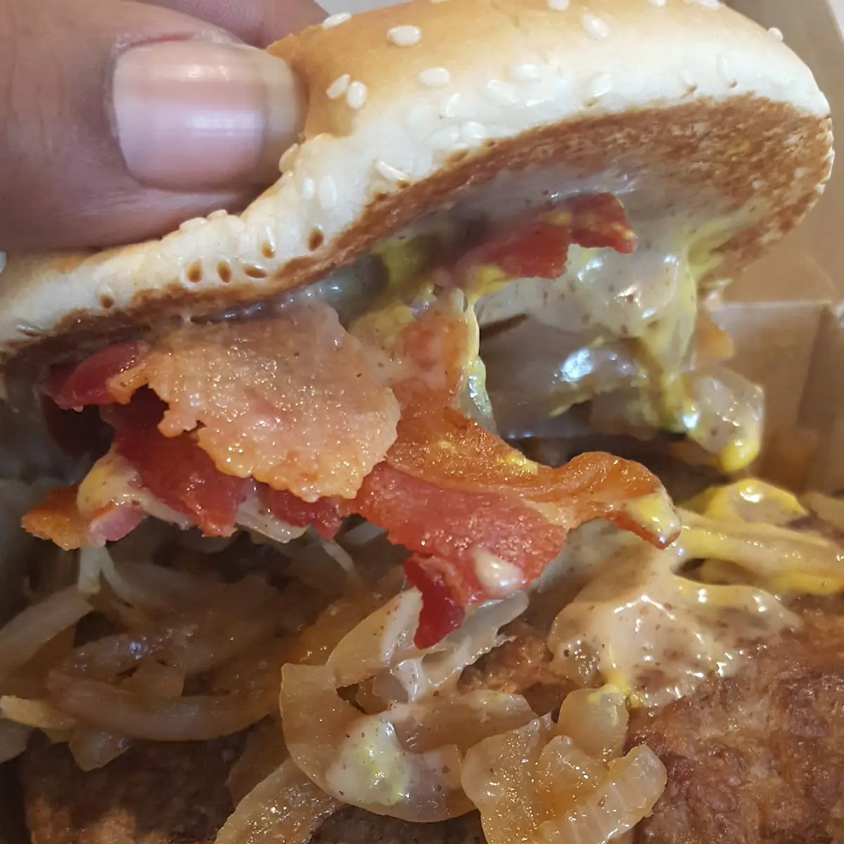 Cheese Burger with Extra