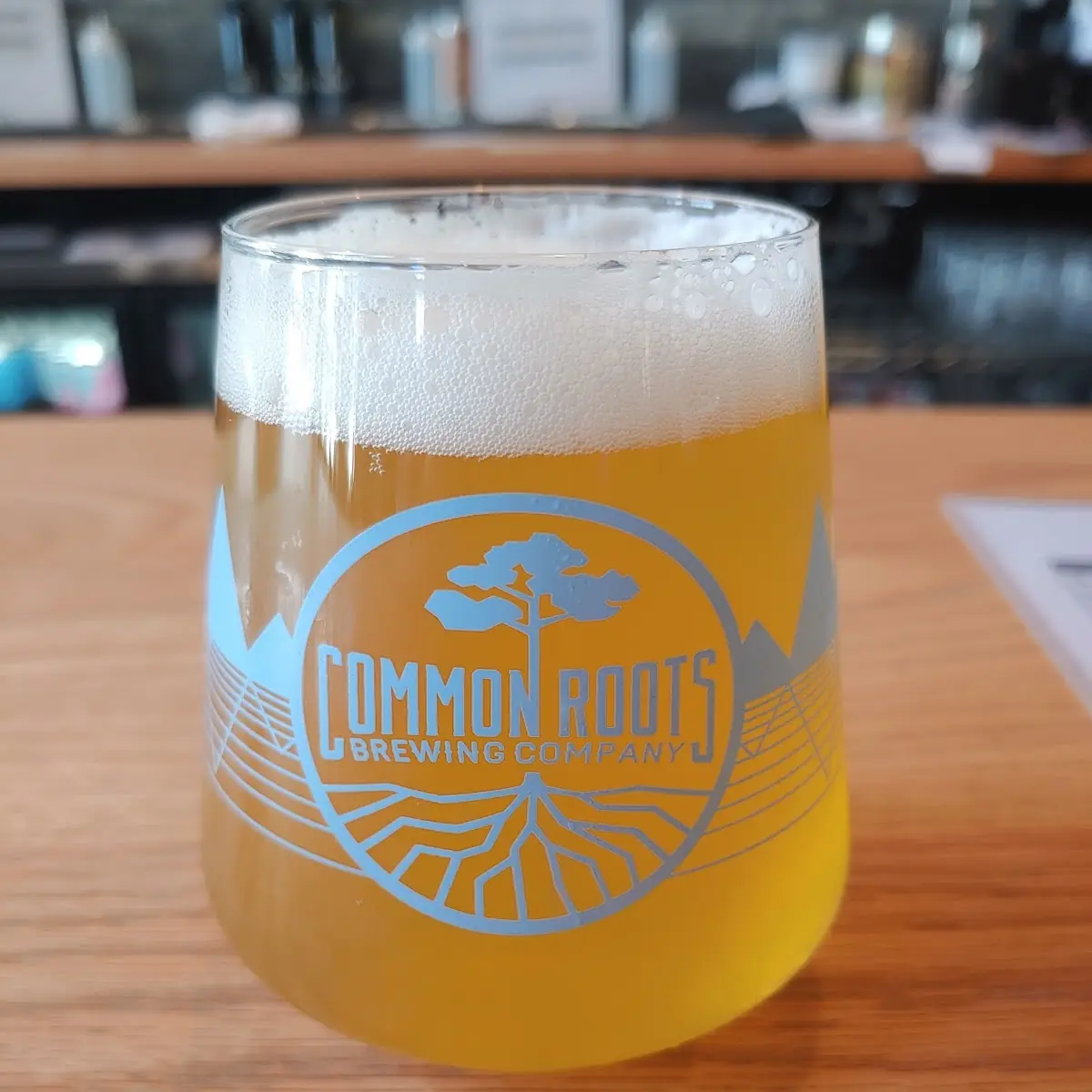 Good Fortune IPA