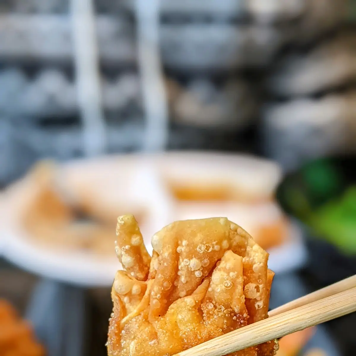 Fried Wonton 6
