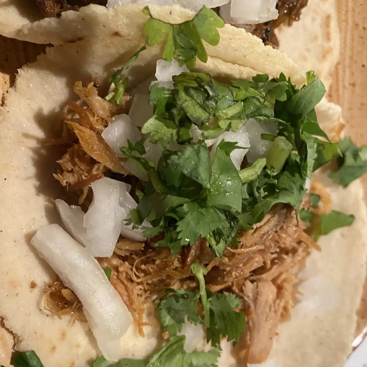 Carnitas Taco