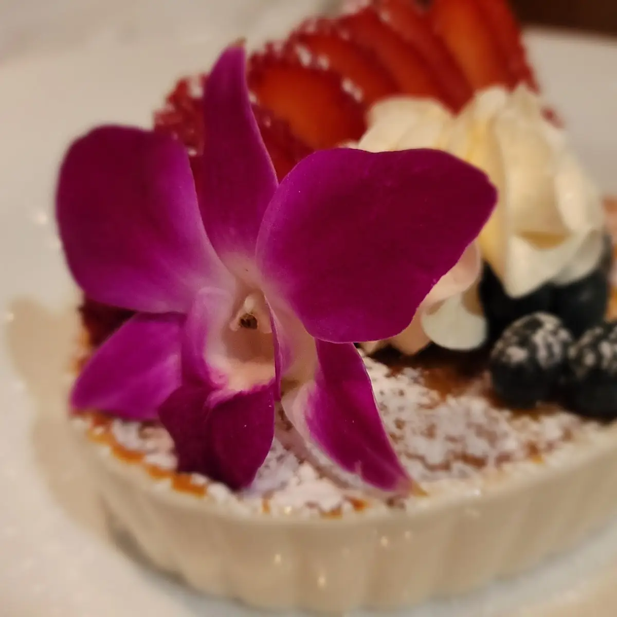 Creme Brulee