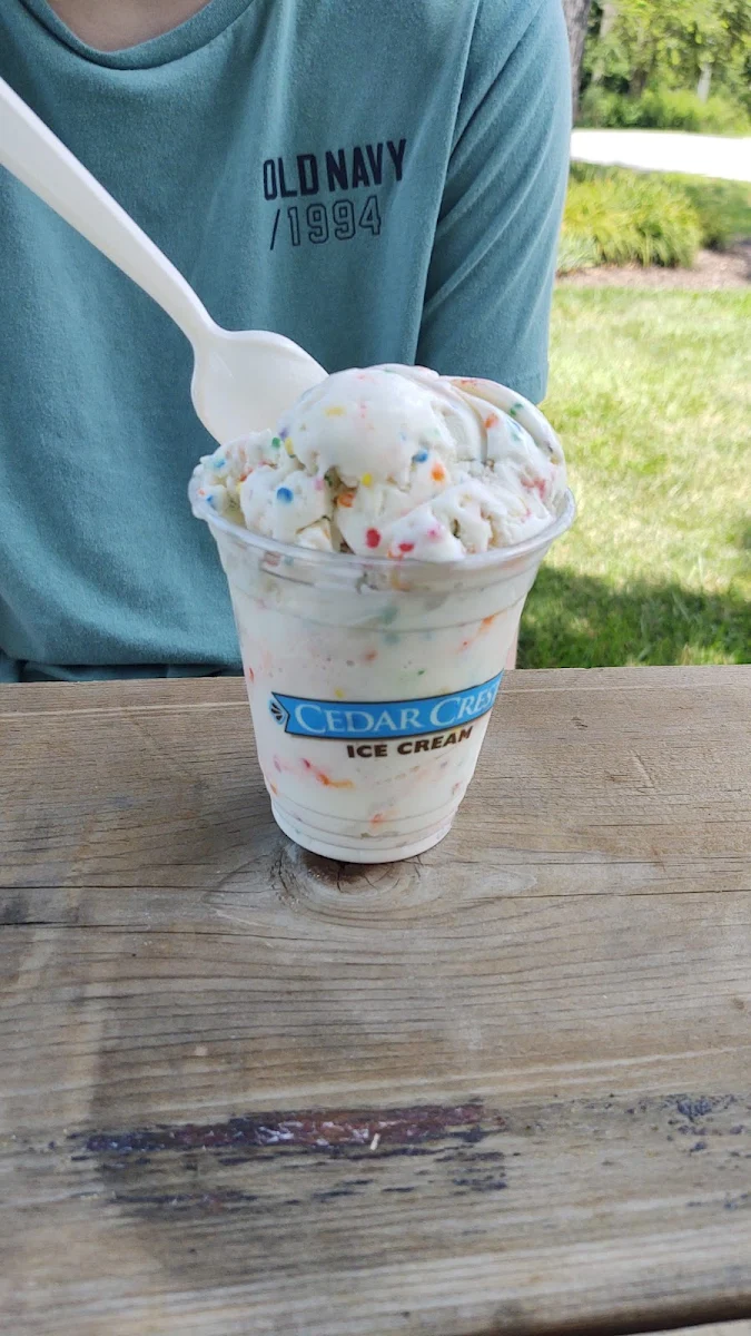 Birthday Cake Ice Cream