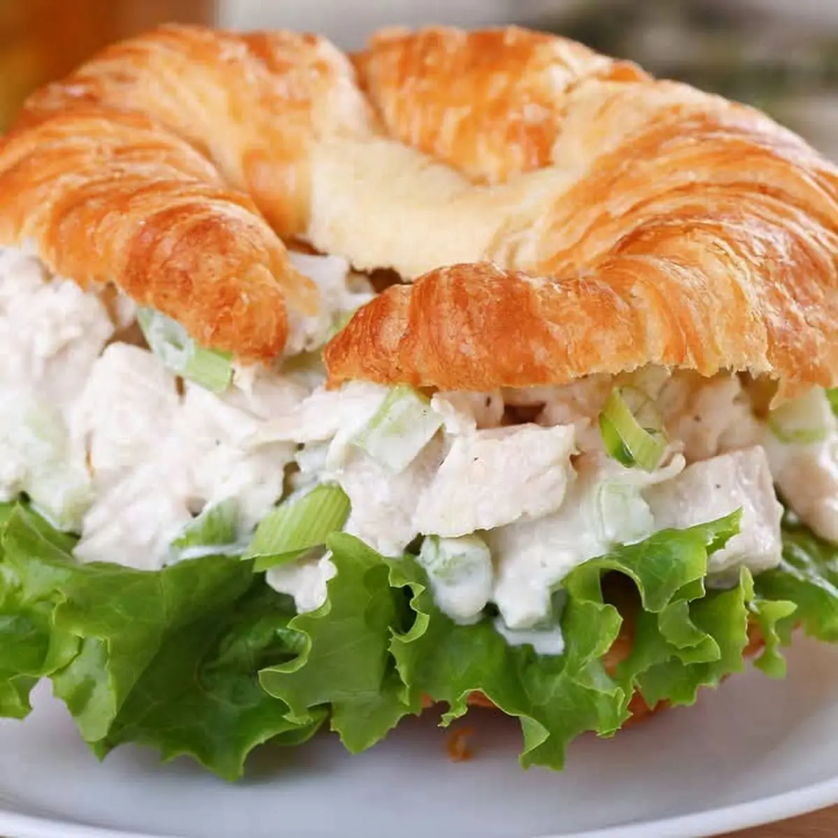Chicken Salad Croissant Sandwich