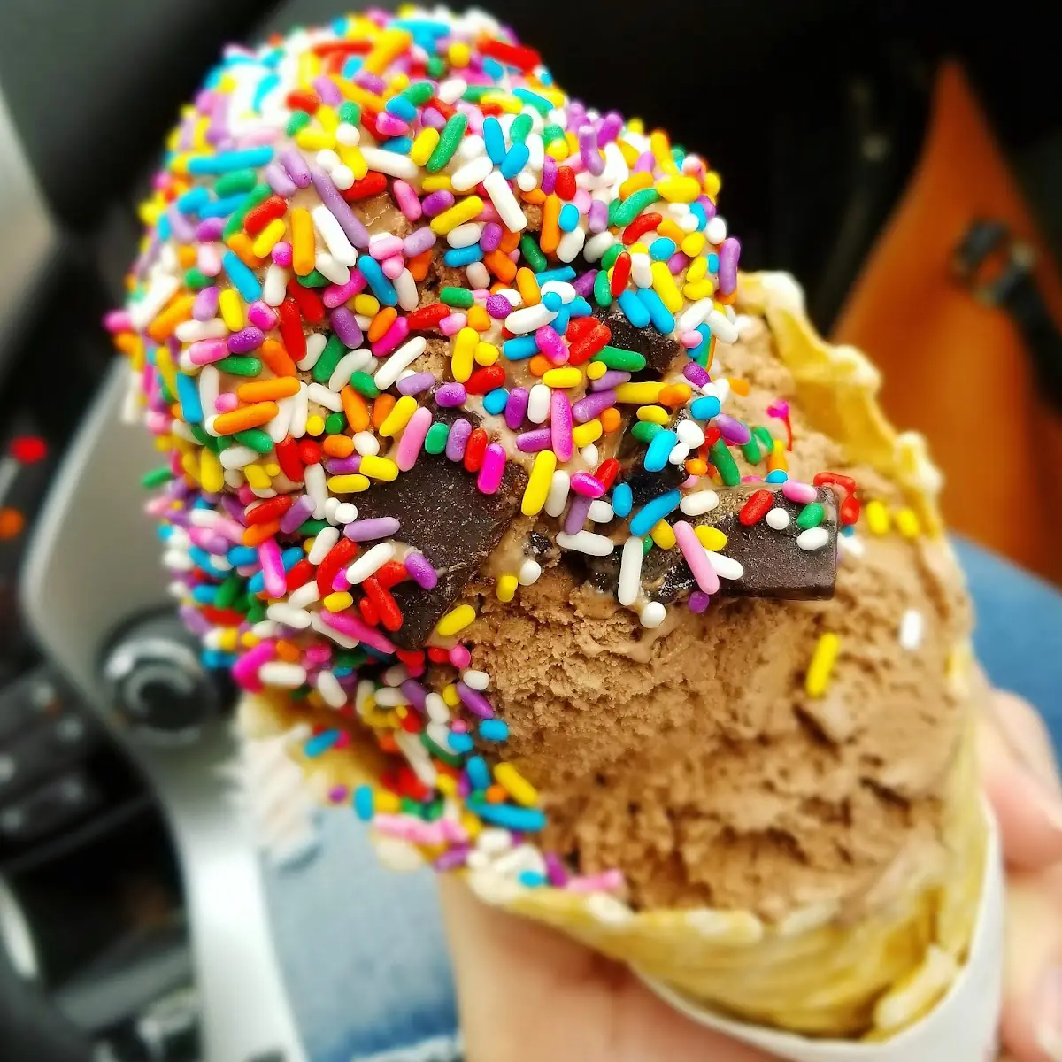 Double Chocolate Chunk Ice Cream