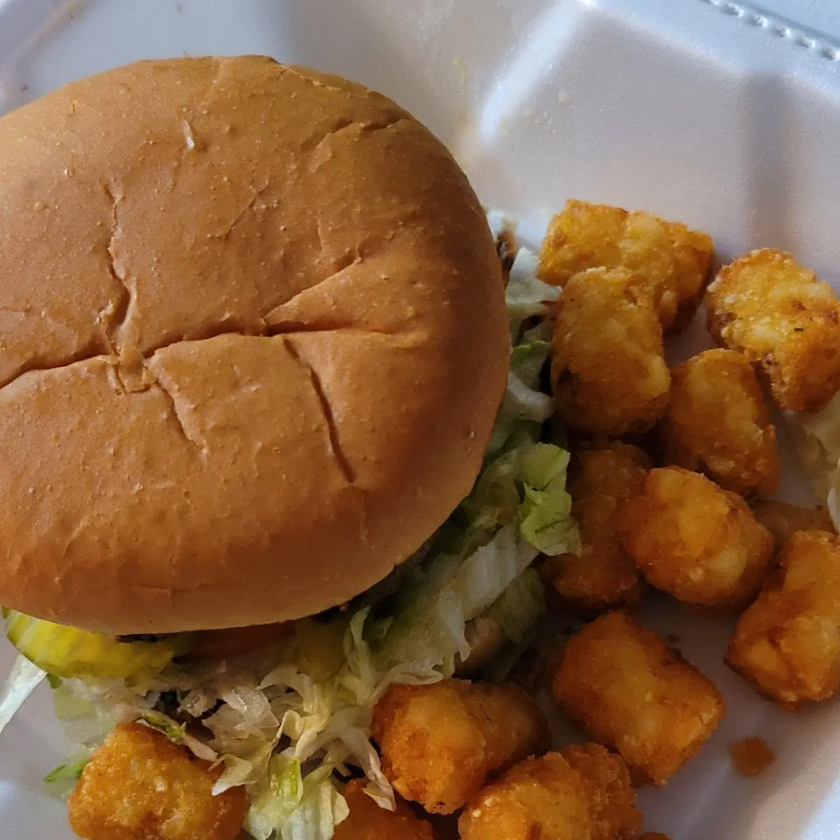 Cheeseburger and Tater Tots