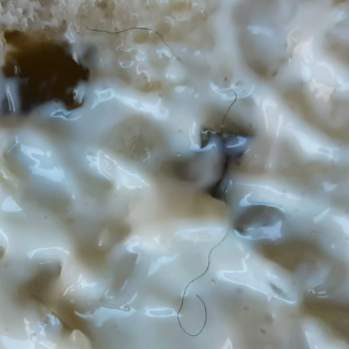 Fish Fillet
