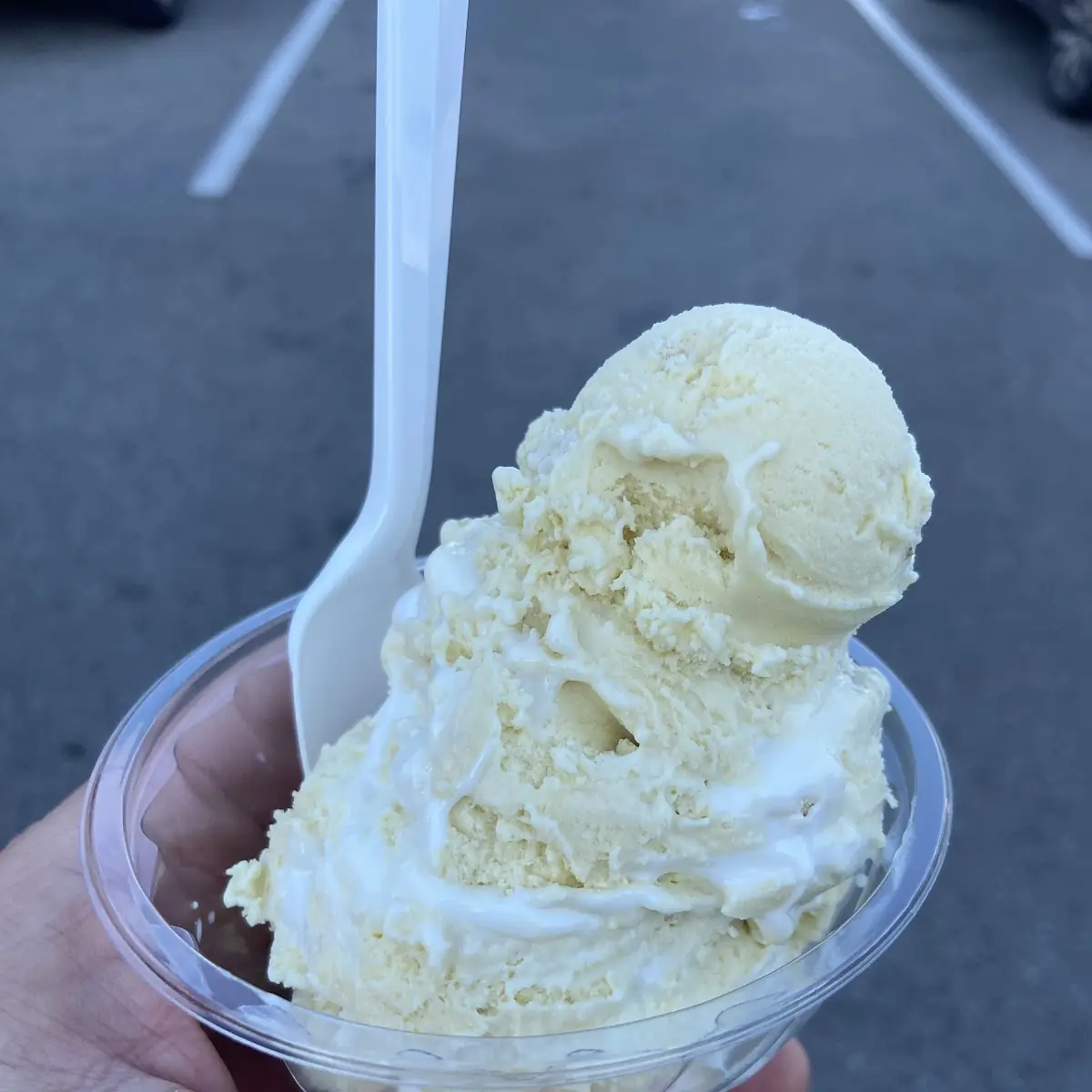 Vanilla Ice Cream