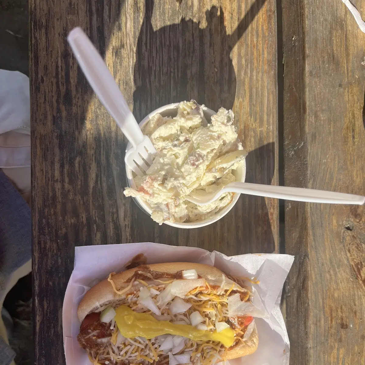 Sauerkraut Dog