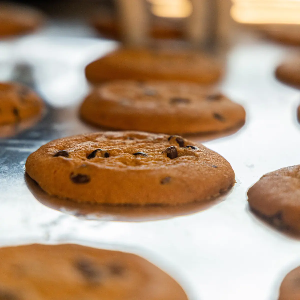 Chocolate Chip Cookie