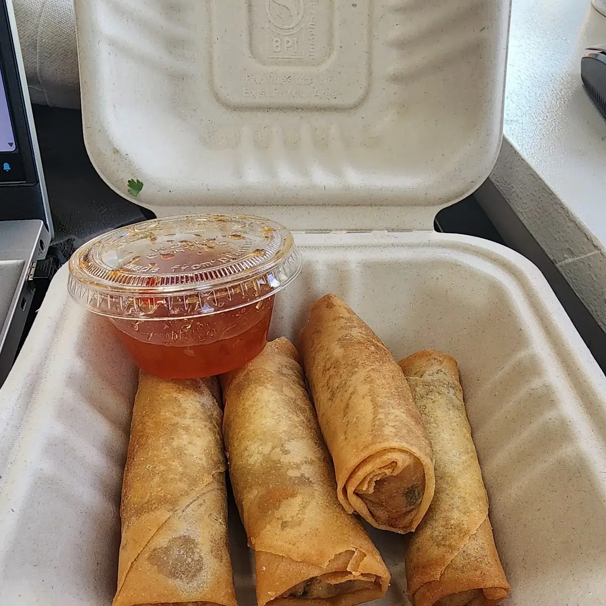 Vegetarian Spring Rolls