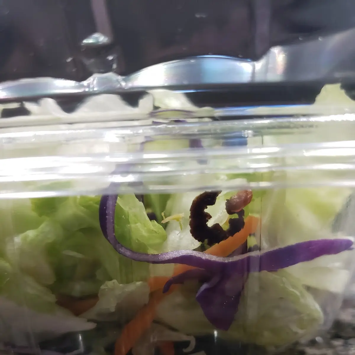 Garden Salad
