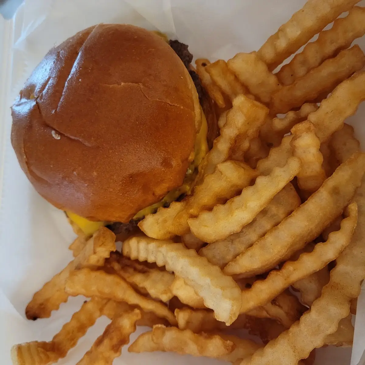 Junior Burger with Fries