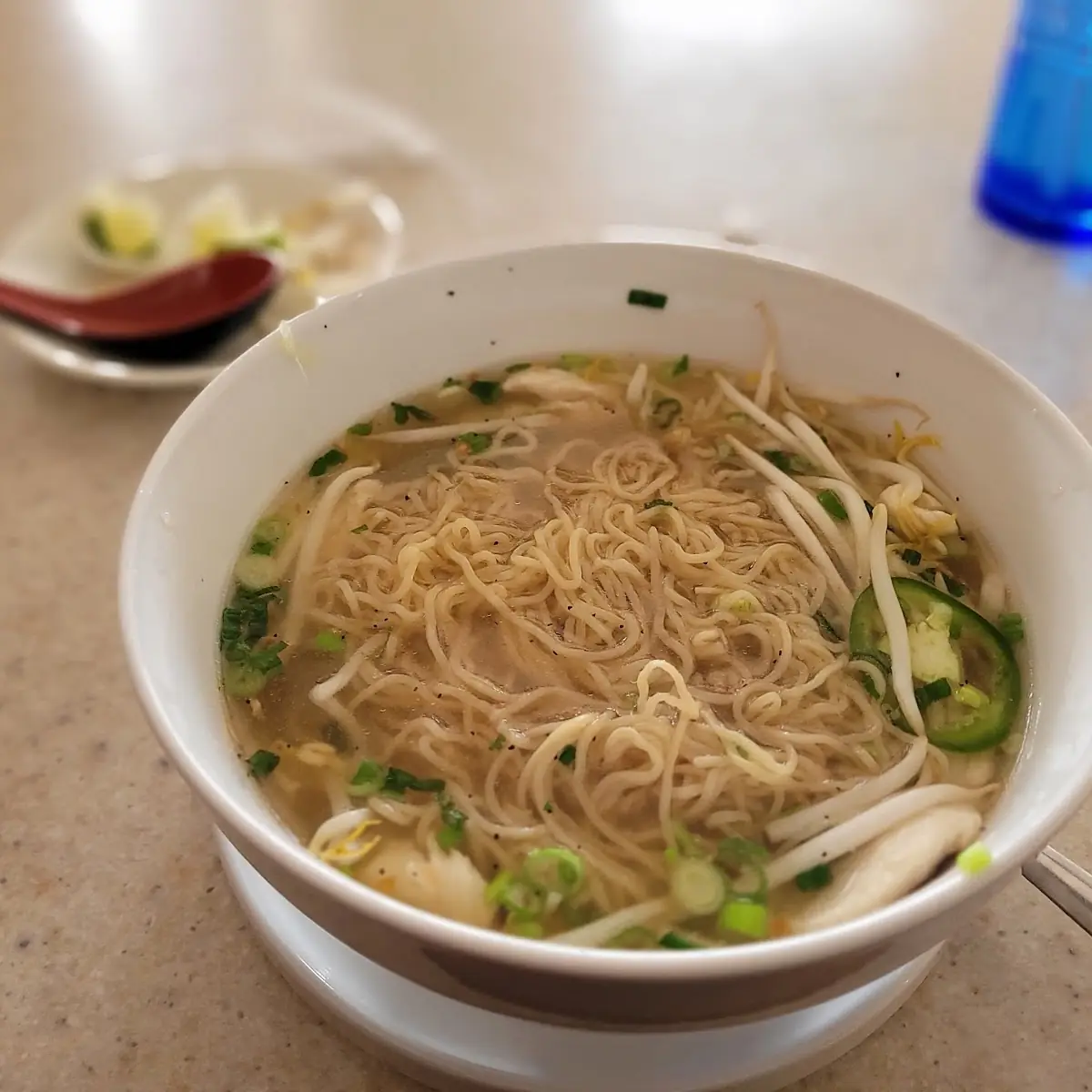 Chicken Noodle Soup