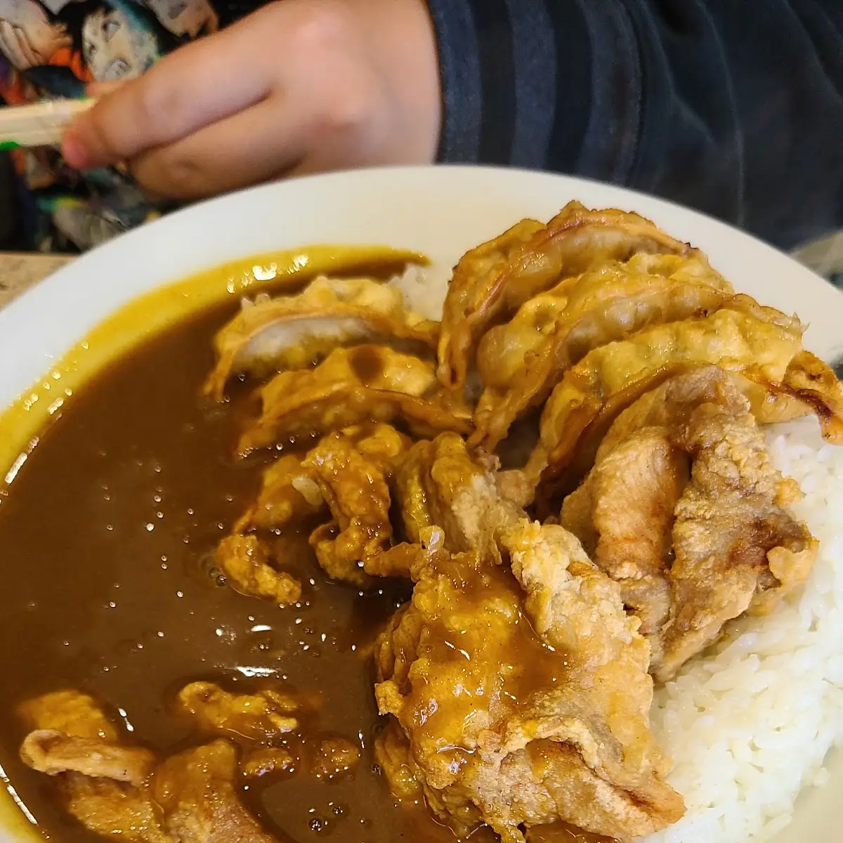 Fried Chicken and Gyoza Curry