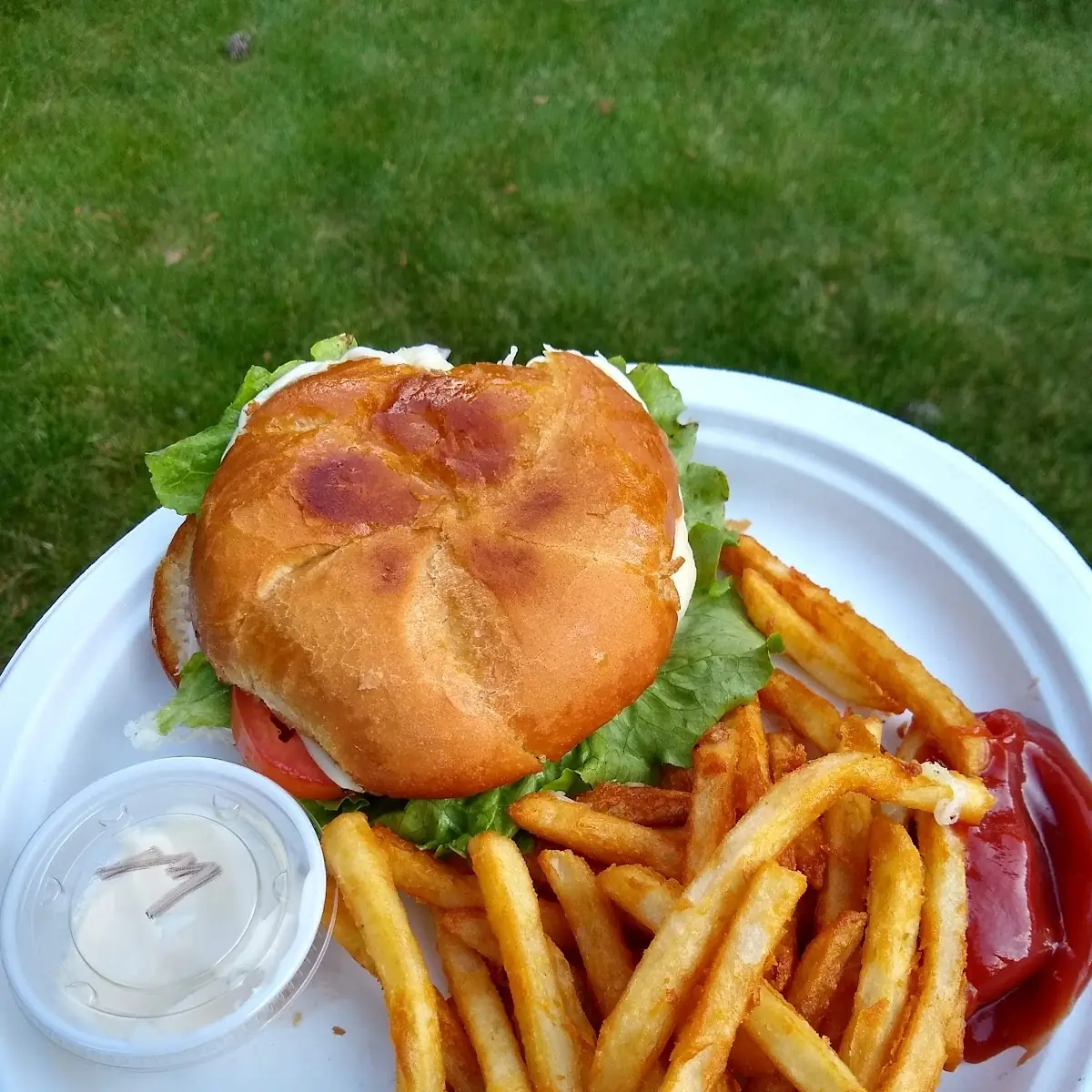 Chicken Sandwich